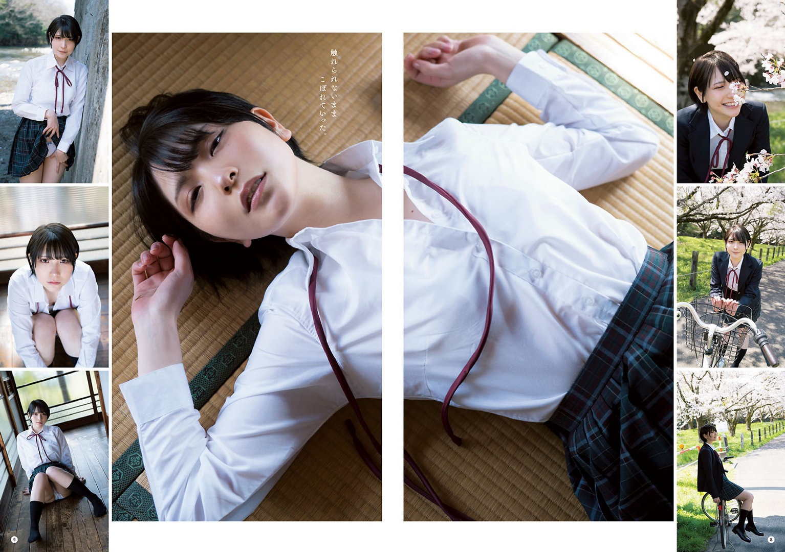 ??YC2020.06.23 NO.13