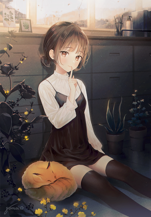 PվʦPվ PIXIV gomziĲ廭Ʒ