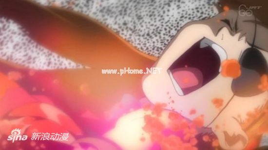 EVA¾糡棺Qǰ638TVԤ湫