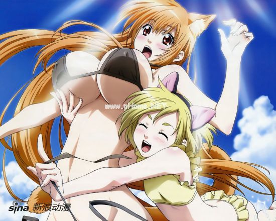 《玩伴猫耳娘》 《玩伴猫耳娘》