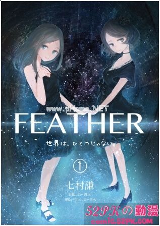 С˵Feather粻ֹһȷ