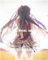 一城南枝,相思入骨