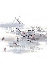 许你一场空欢喜