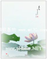 岂曰情深,奈何缘浅