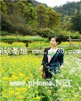 你会怎样回忆我