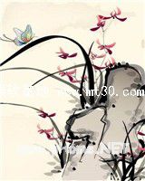 他来恰似人间中毒