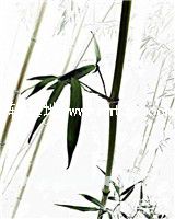 独家宠妻暴虐总裁狠狠爱