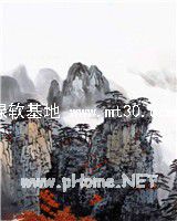 为你我心甘情愿