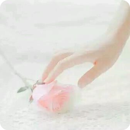 ������Ұ���ȫ�½��Ķ�