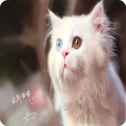 ���ϸ����ܲ��Ķ�_�����١�Ӱ�С˵