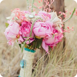 �һ�������ϳ��½��Ķ�_��������С˵