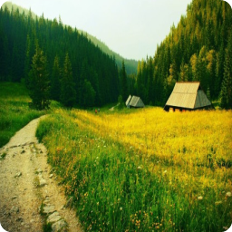 �����ѳ���Ȼ_����±���С˵ȫ��δɾ��
